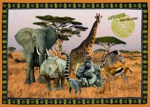 zoo placemats